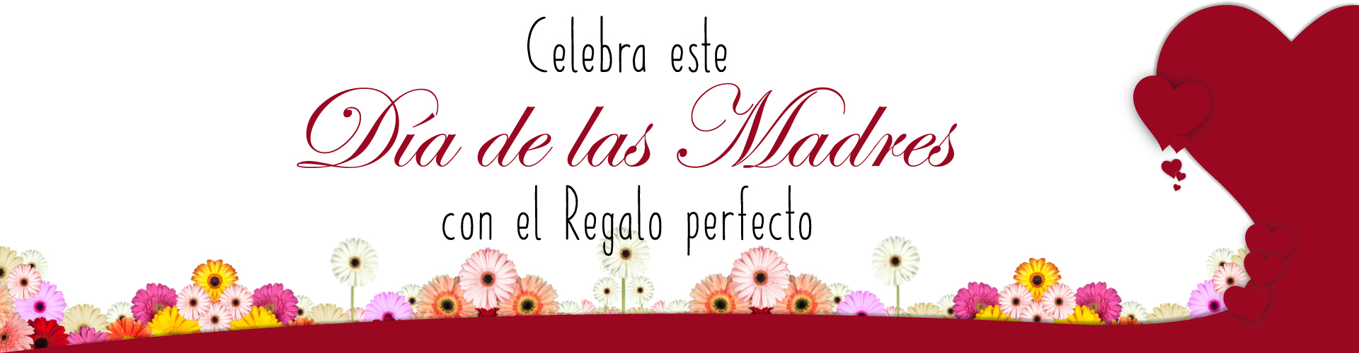 Promoción dia de las madres